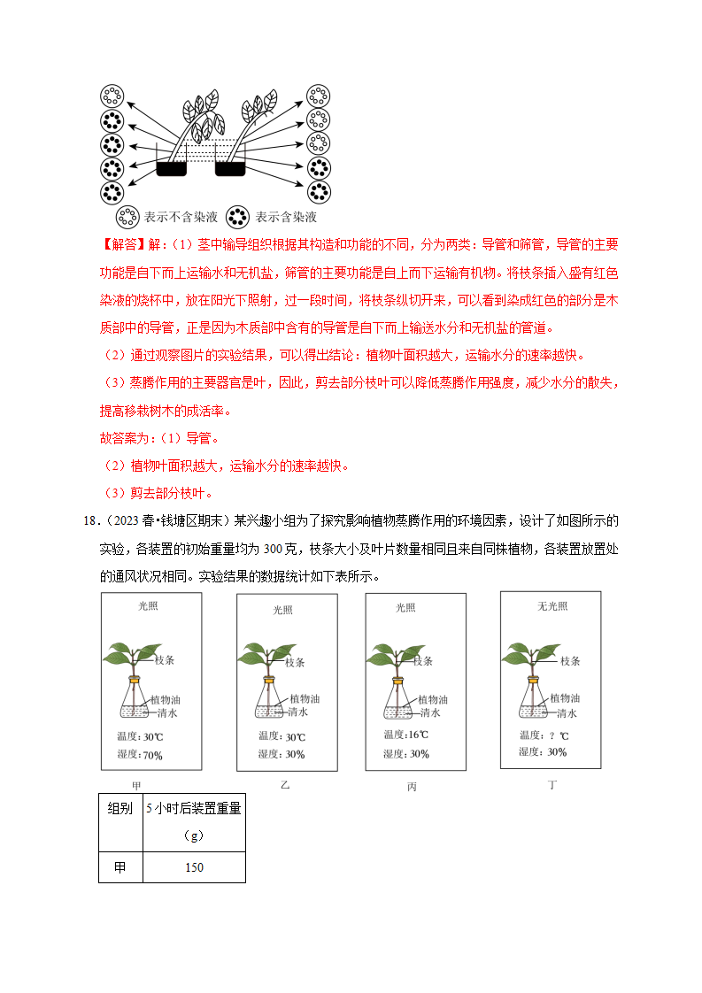 专项训练（五）绿色植物的三大作用（解析版）2577_14.png