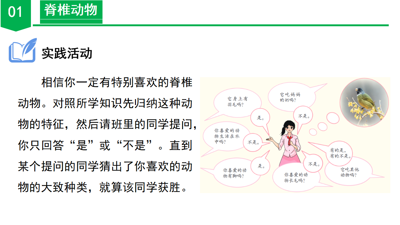 2.3 多姿多彩的动物（第2课时）（教学课件）-（浙教版）0023_23.png