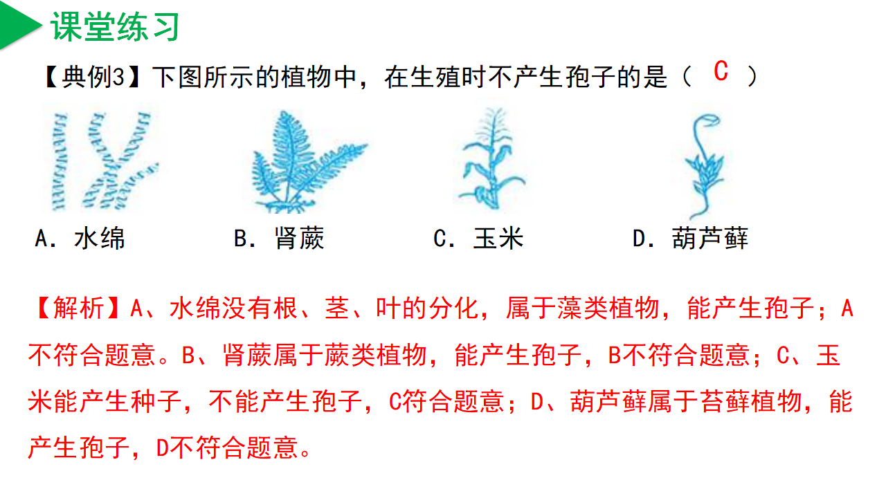 2.2 形形色色的植物（第1课时）（教学课件）-（浙教版）0030_32.png
