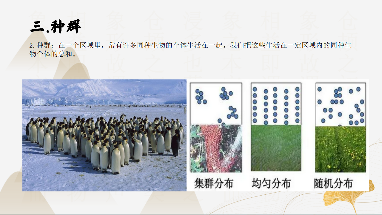2.1-2.3生物间的关系与种群、群落（同步课件）-2023-2024学年九年级科学下册同步精品课堂（浙教版）0144_14.png