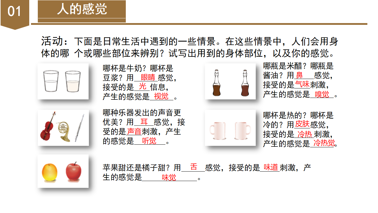 2.1 感觉世界（教学课件）-（浙教版）0138_06.png