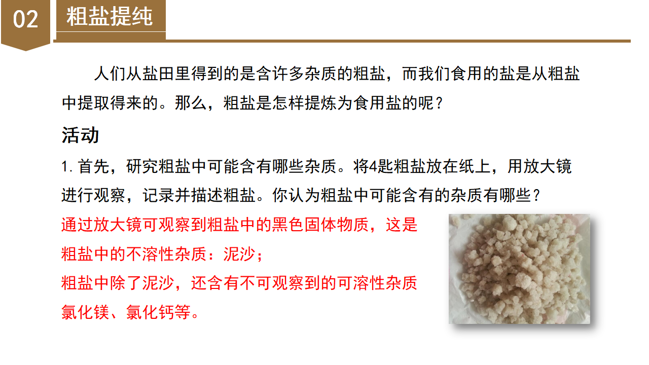 1.6 物质的分离（第2课时）（教学课件）-（浙教版）0222_20.png
