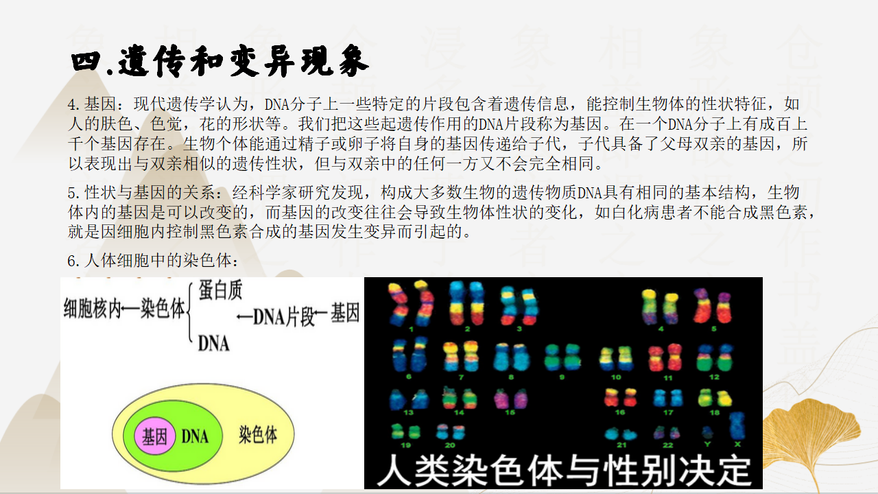 1.4-1.5生物的遗传与进化（同步课件）-2023-2024学年九年级科学下册同步精品课堂（浙教版）0146_19.png