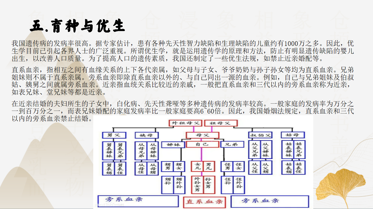 1.4-1.5生物的遗传与进化（同步课件）-2023-2024学年九年级科学下册同步精品课堂（浙教版）0146_27.png