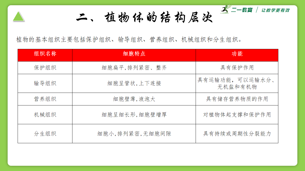 1.1.2 植物体的结构层次--浙教版七年级下册（2024版）科学同步课件（22页ppt）0234_05.png