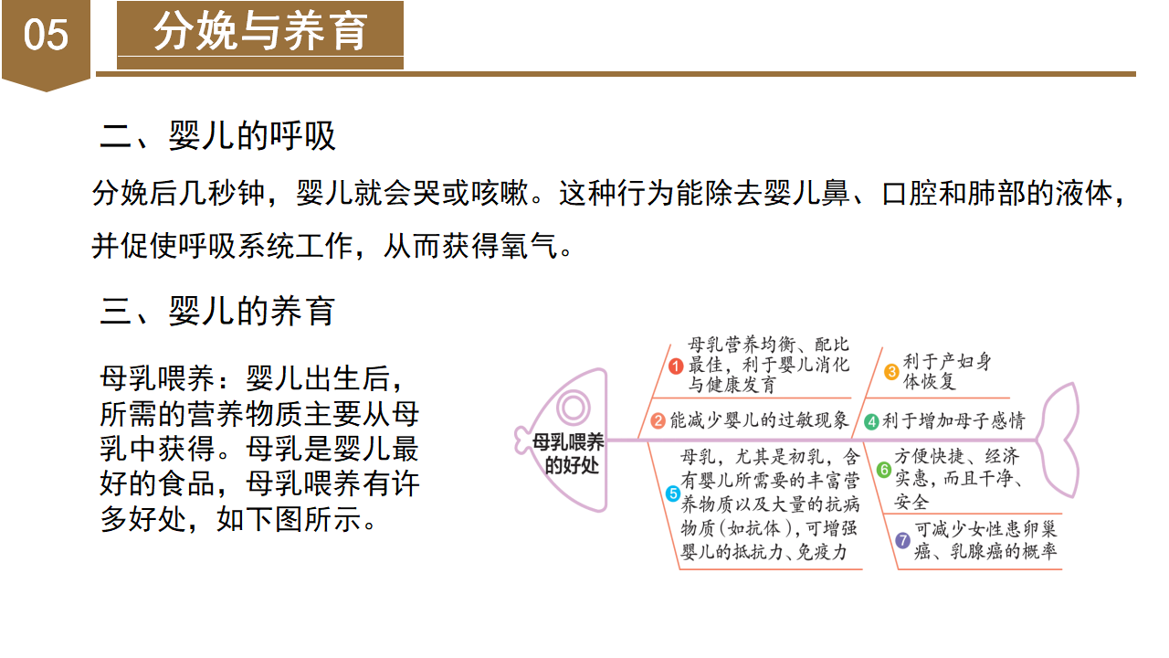 1.1 新生命的诞生（教学课件）-（浙教版）0137_37.png