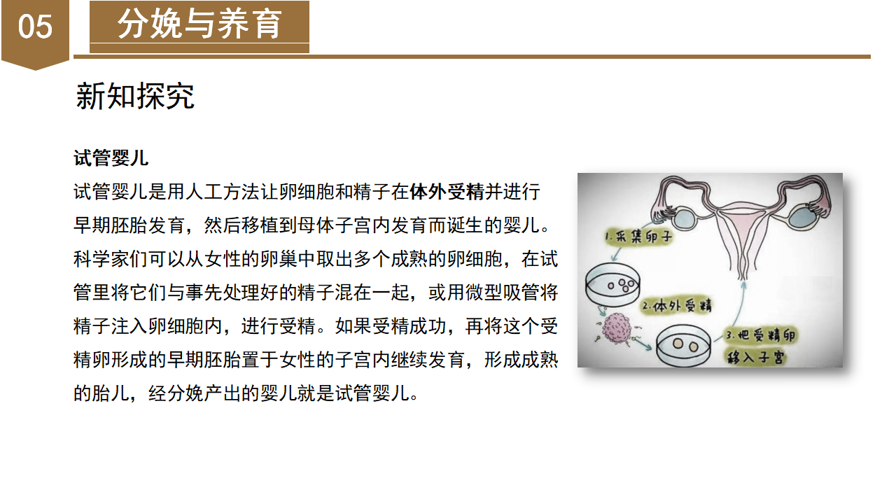 1.1 新生命的诞生（教学课件）-（浙教版）0137_38.png