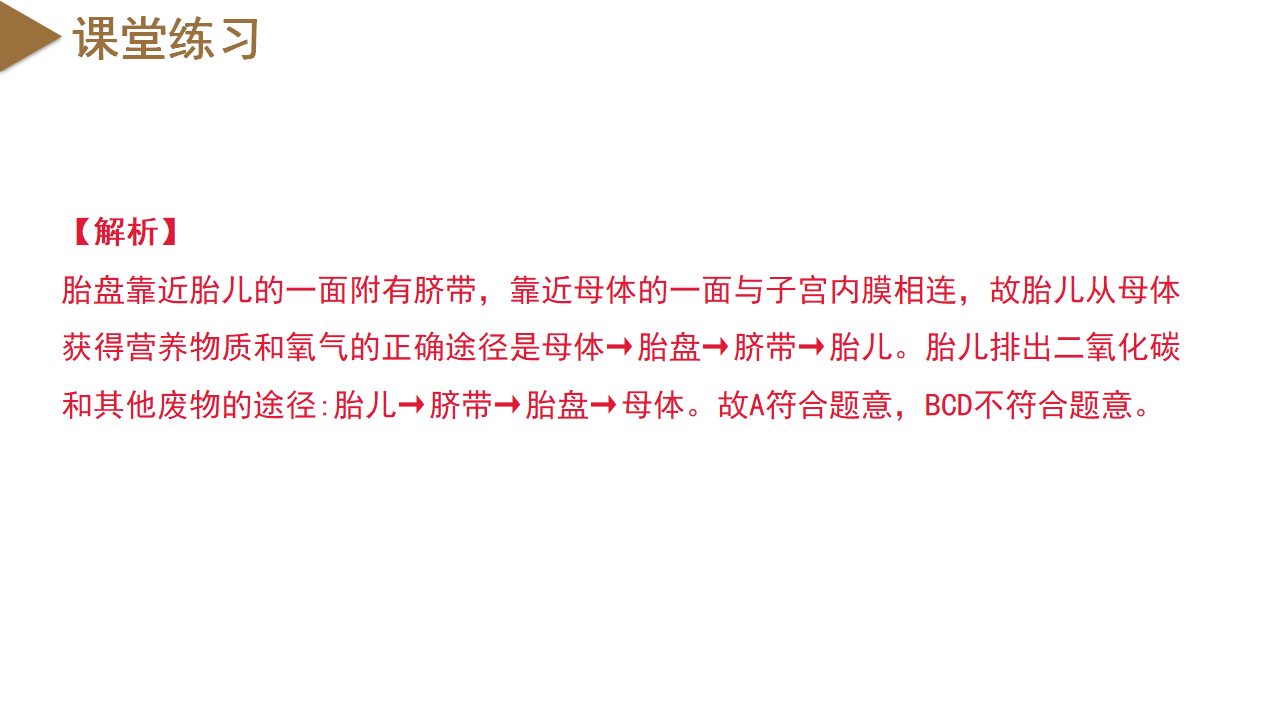 1.1 新生命的诞生（教学课件）-（浙教版）0137_47.png