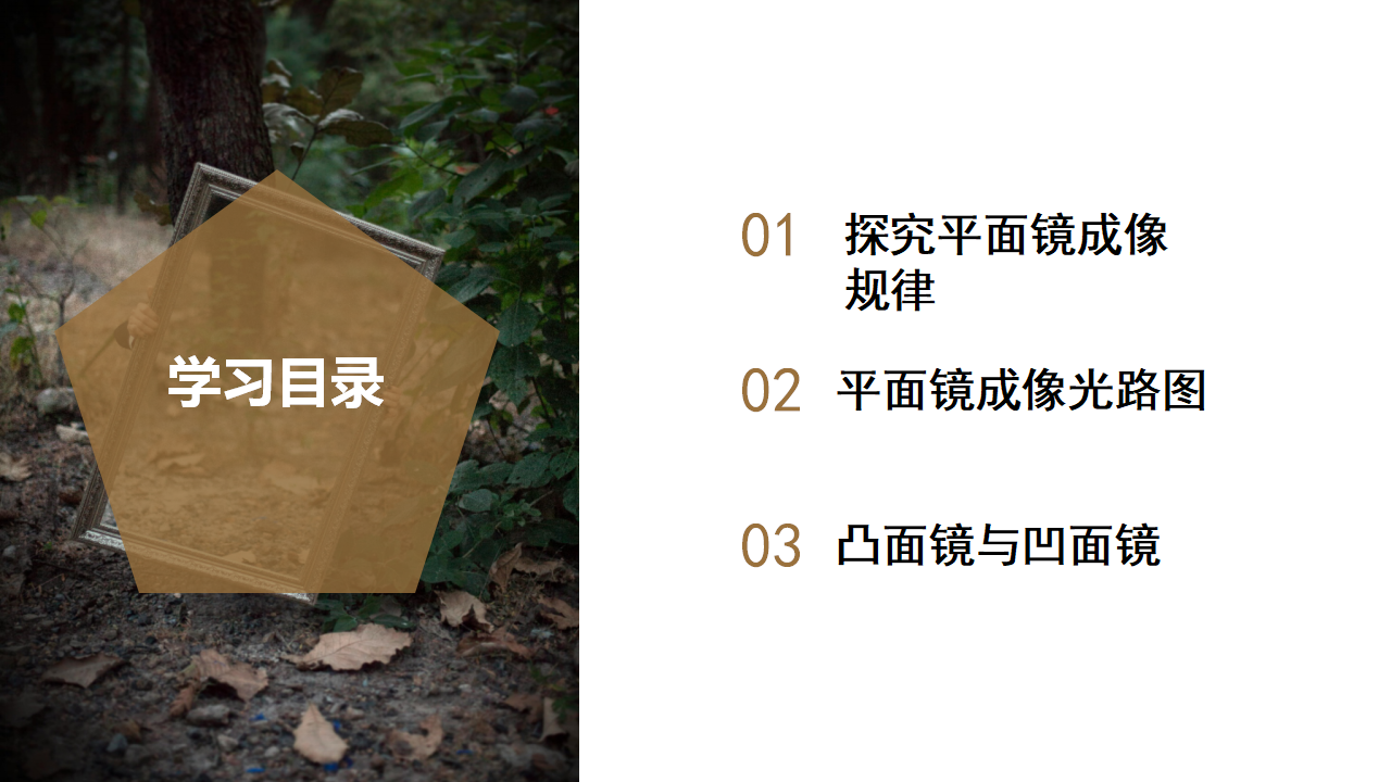 2.5 光的反射和折射（第2课时）（教学课件）-（浙教版）0131_02.png