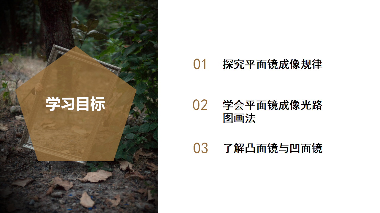 2.5 光的反射和折射（第2课时）（教学课件）-（浙教版）0131_03.png