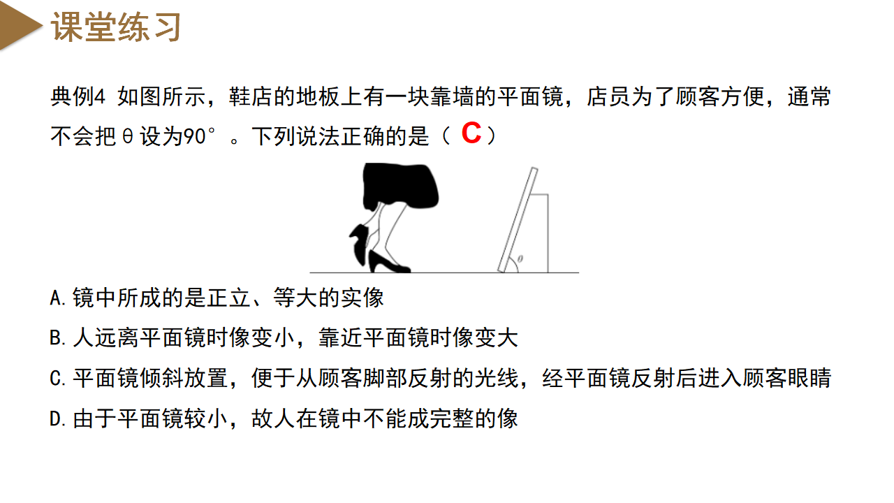 2.5 光的反射和折射（第2课时）（教学课件）-（浙教版）0131_25.png