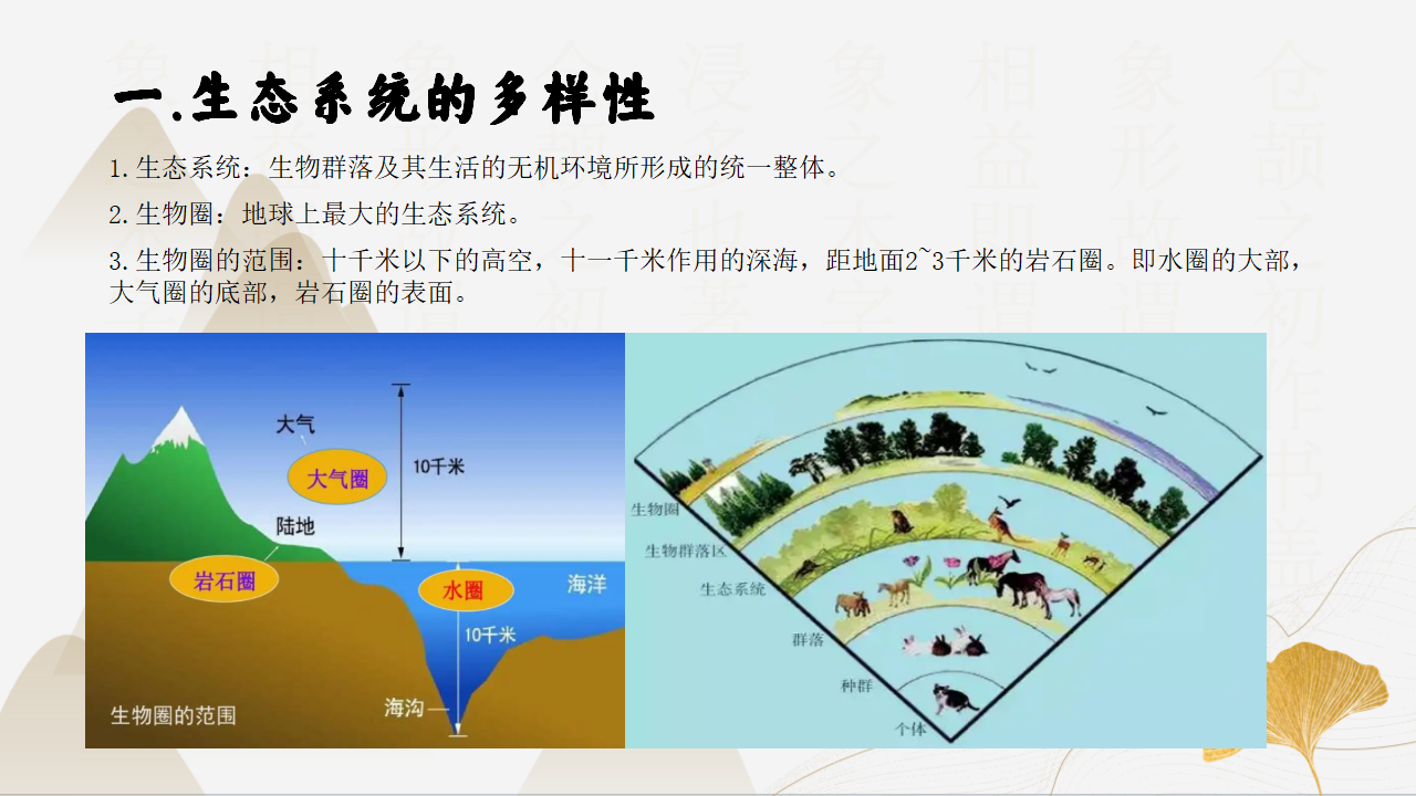 2.4-2.5生态系统的结构功能与稳定性（同步课件）-2023-2024学年九年级科学下册同步精品课堂（浙教版）0142_04.png