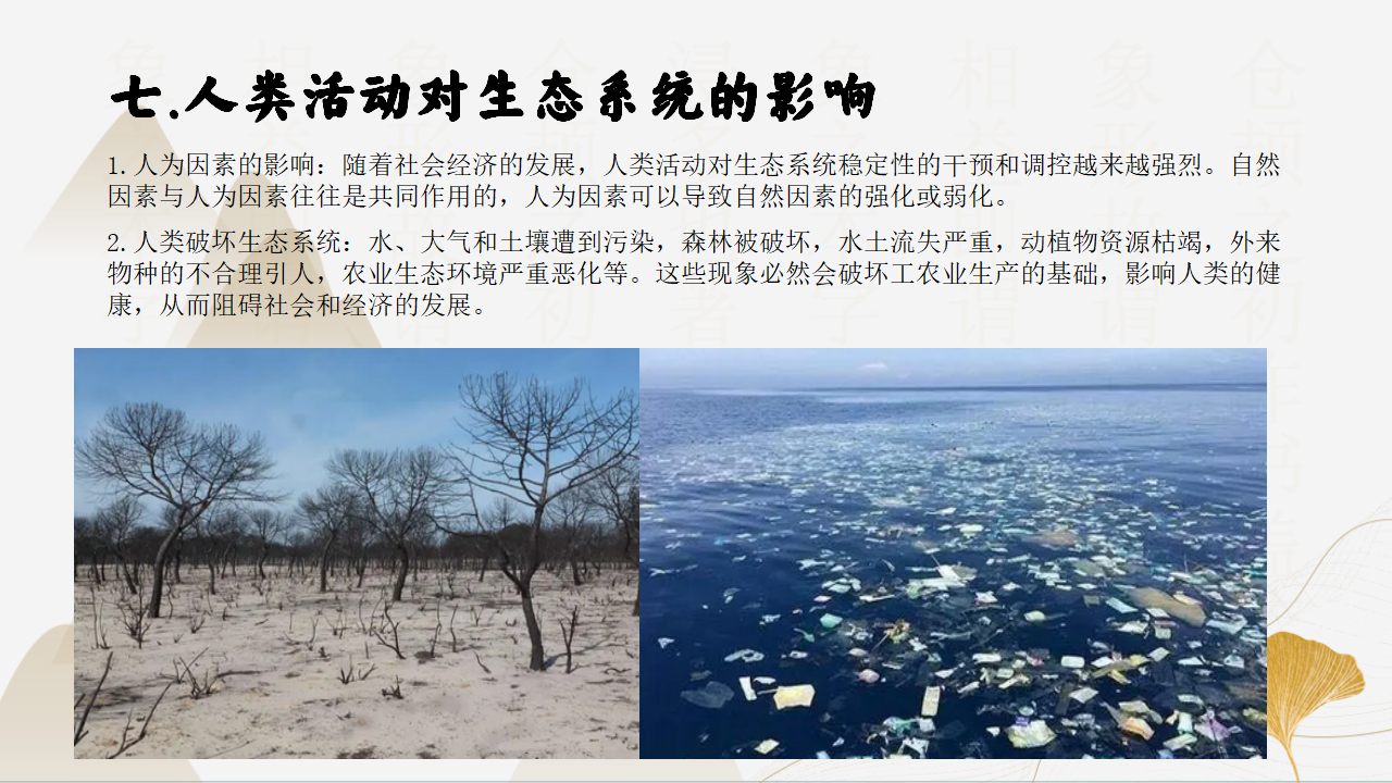 2.4-2.5生态系统的结构功能与稳定性（同步课件）-2023-2024学年九年级科学下册同步精品课堂（浙教版）0142_17.png