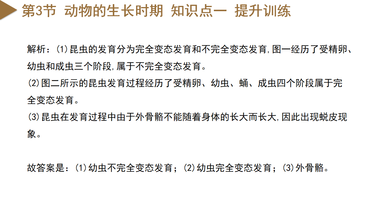 第1章 代代相传的⽣命（单元复习课件）-（浙教版）0108_30.png
