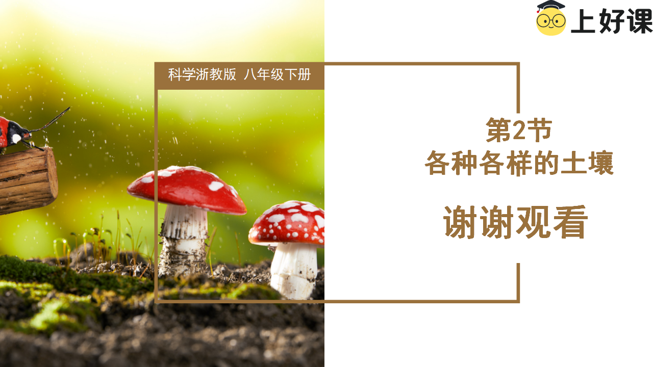 4.2 各种各样的土壤（教学课件）-（浙教版）0154_27.png