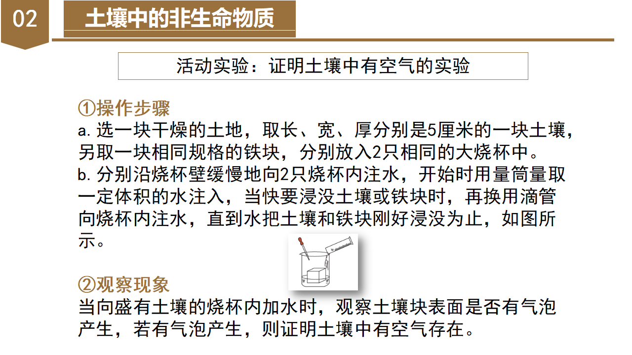 4.1 土壤的成分（教学课件）-（浙教版）0161_10.png