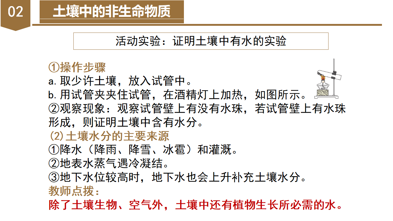 4.1 土壤的成分（教学课件）-（浙教版）0161_13.png