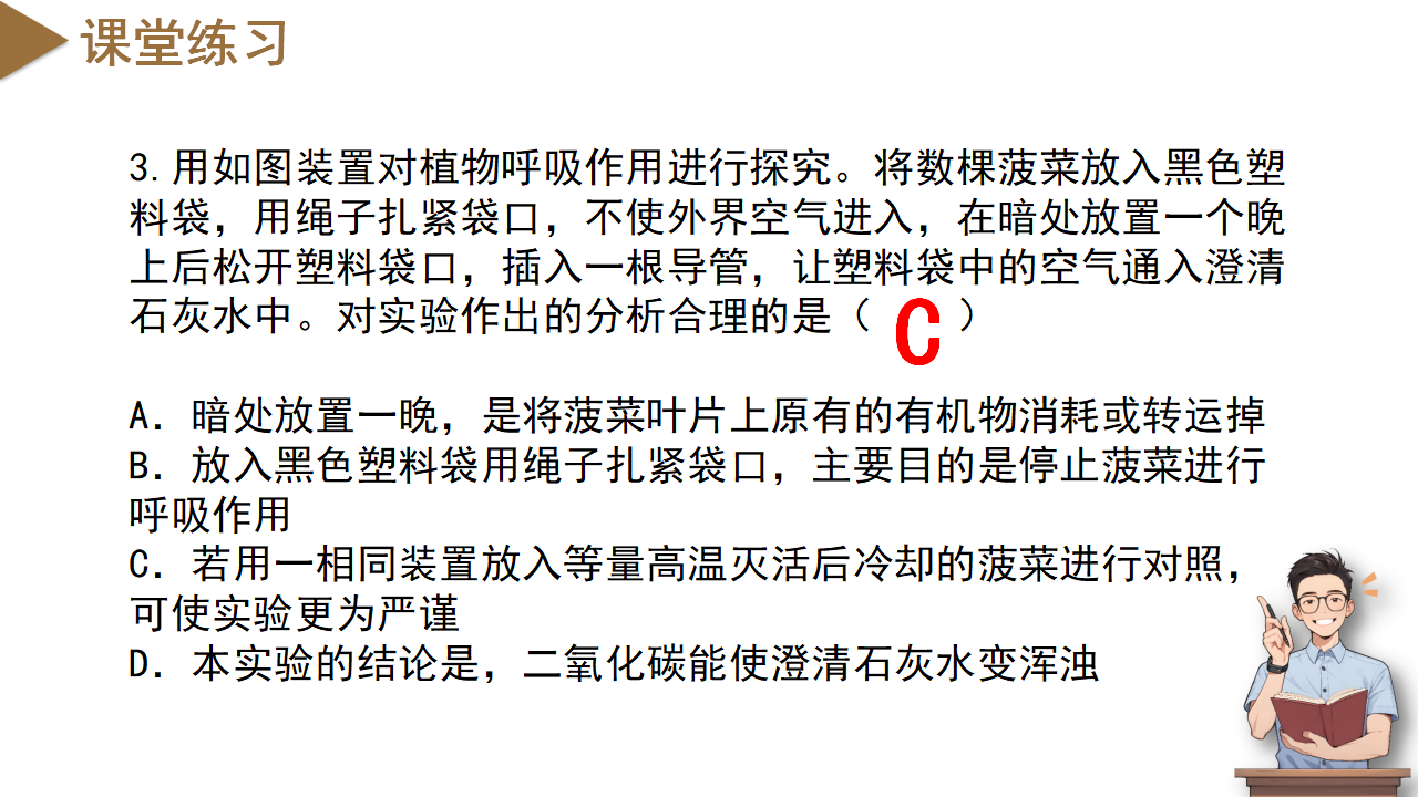 3.7 自然界中的氧循环和碳循环（教学课件）-（浙教版）0165_23.png