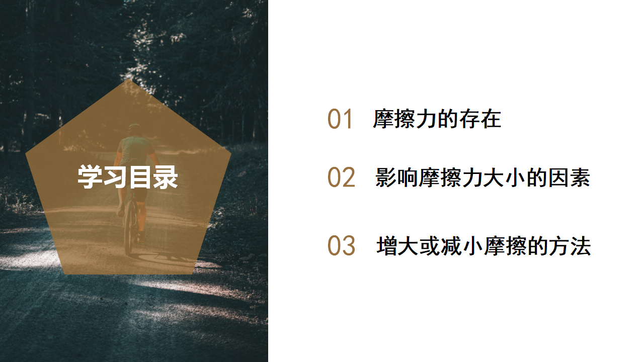 3.6 摩擦力（教学课件）-（浙教版）0118_02.png