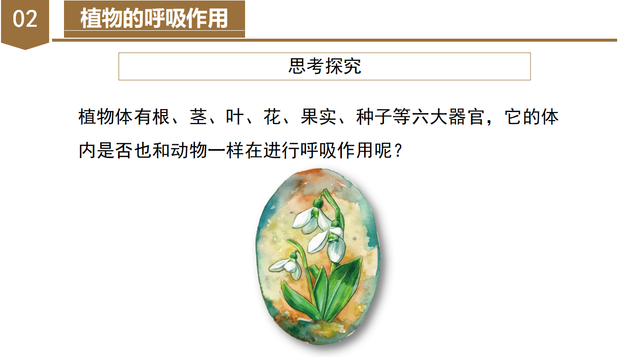 3.5 生物的呼吸和呼吸作用（第2课时）（教学课件）-（浙教版）0169_13.png