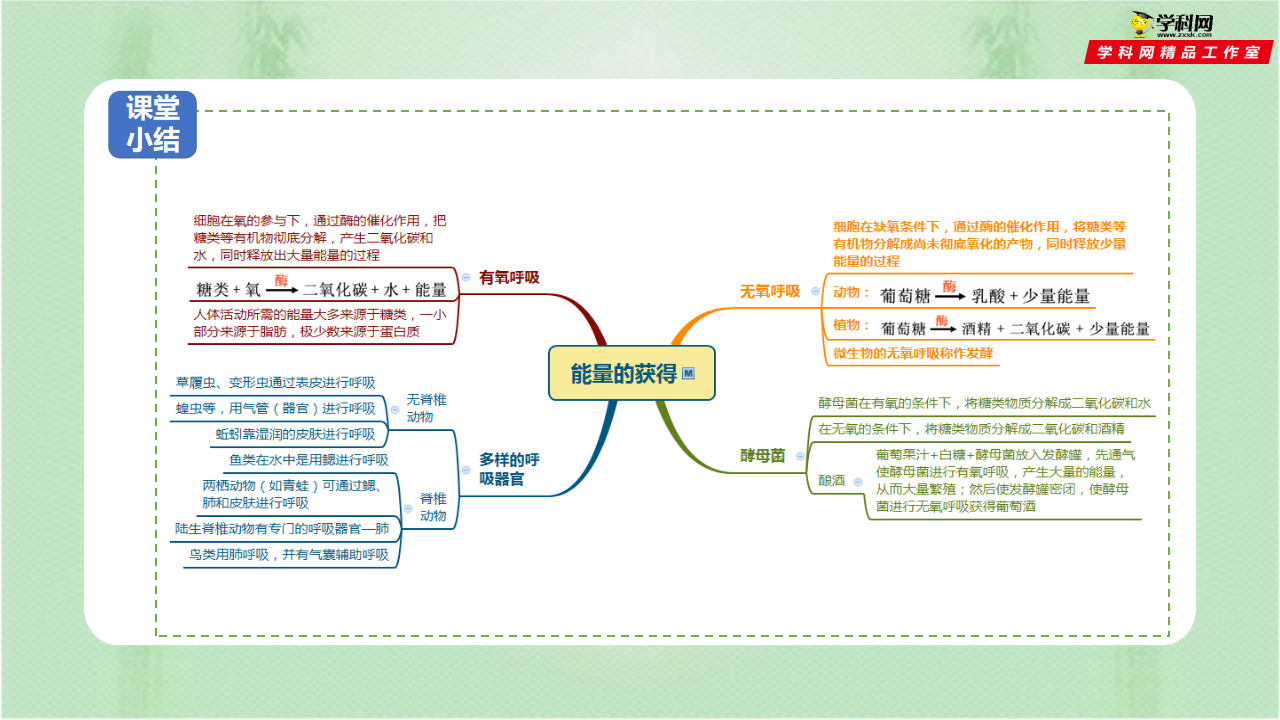 第4节 能量的获得（备课件）0063_26.png