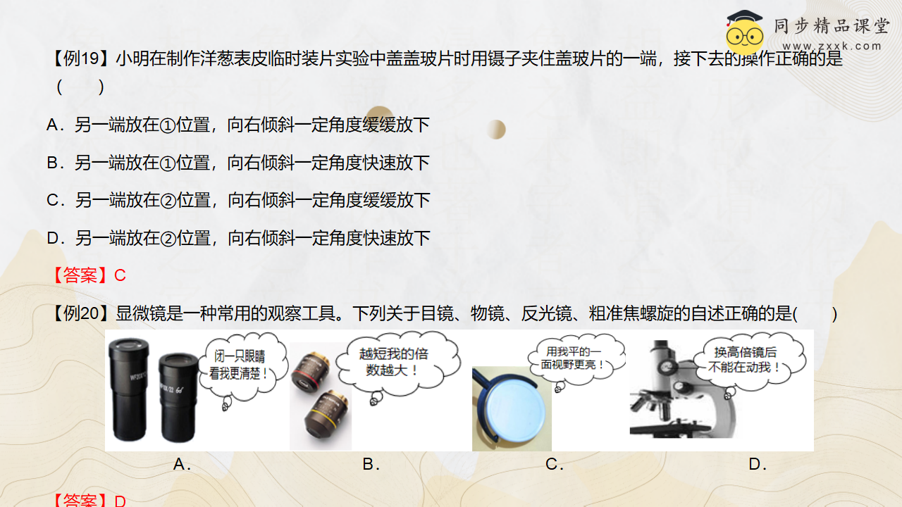 第07讲 《细胞》（同步课件）-2023-2024学年七年级科学上册同步精品课堂（浙教版）0015_23.png