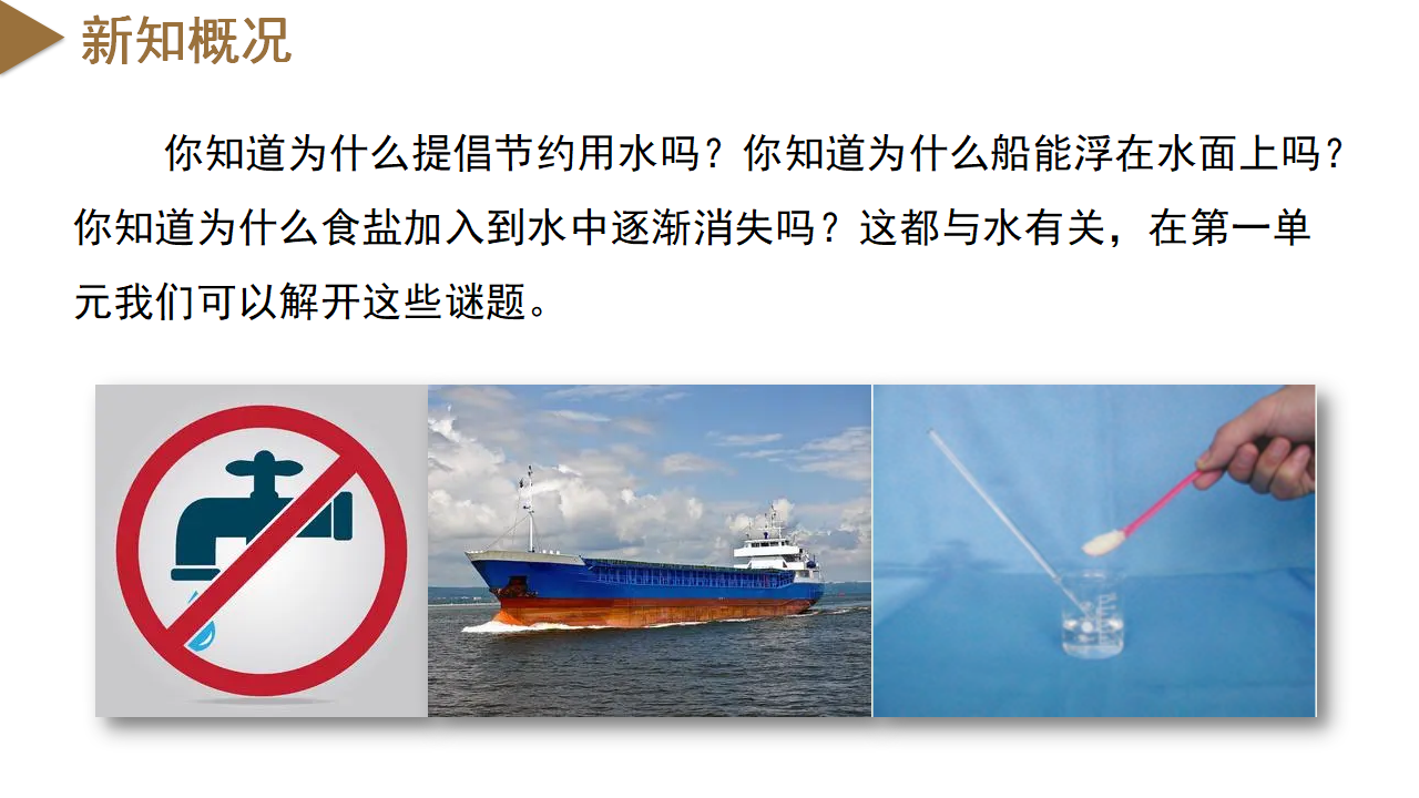 开学第一课（课件）-（浙教版）0197_10.png