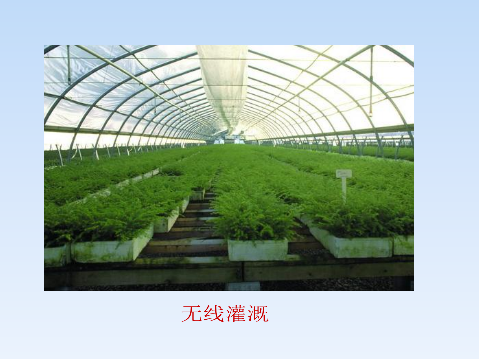 苏科版信息技术六年级第10课《智能交通——zigbee技术》ppt课件1_18.png