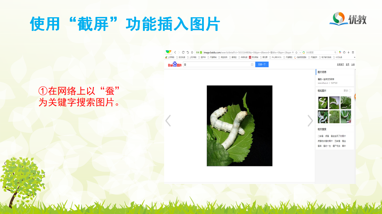 05《插入图片》优教课件_08.png