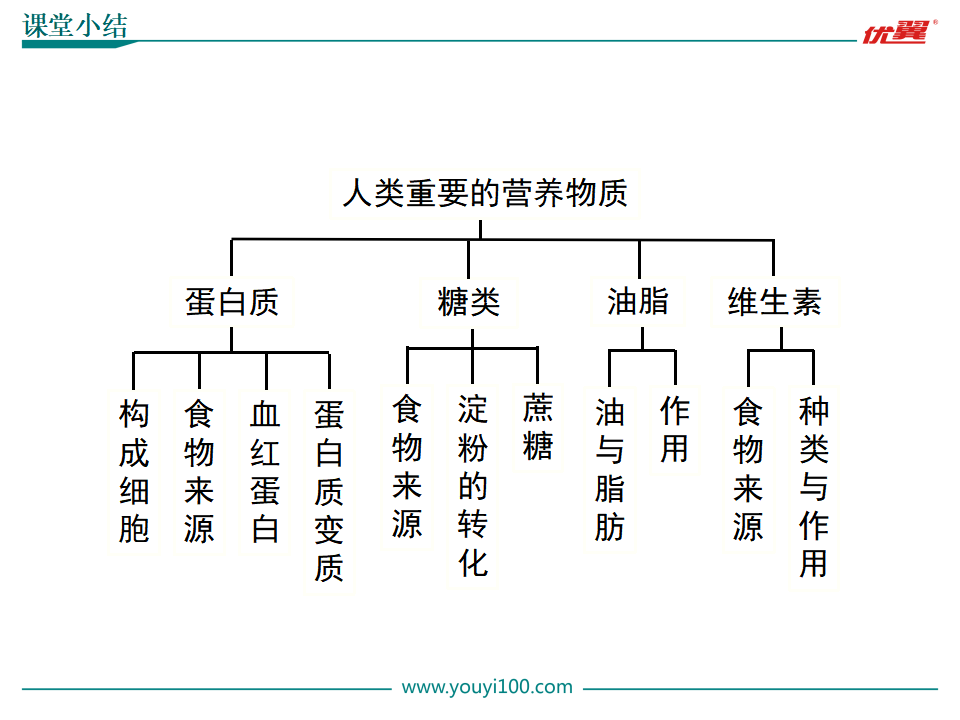 课题1 人类重要的营养物质_23.png