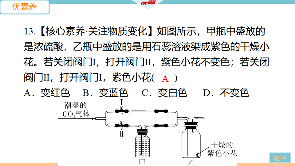 第1课时　酸碱指示剂　常见的酸_21.png