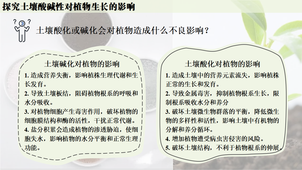 跨学科实践活动9  探究土壤酸碱性对植物生长的影响课件共33张PPT_23.png