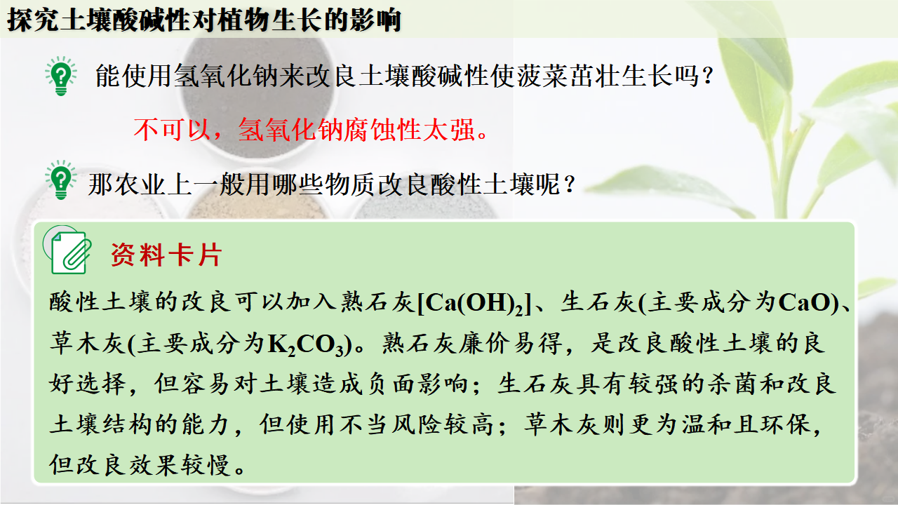 跨学科实践活动9  探究土壤酸碱性对植物生长的影响课件共33张PPT_27.png