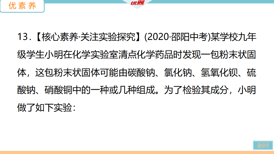 3.课题1  第3课时　盐的化学性质_28.png