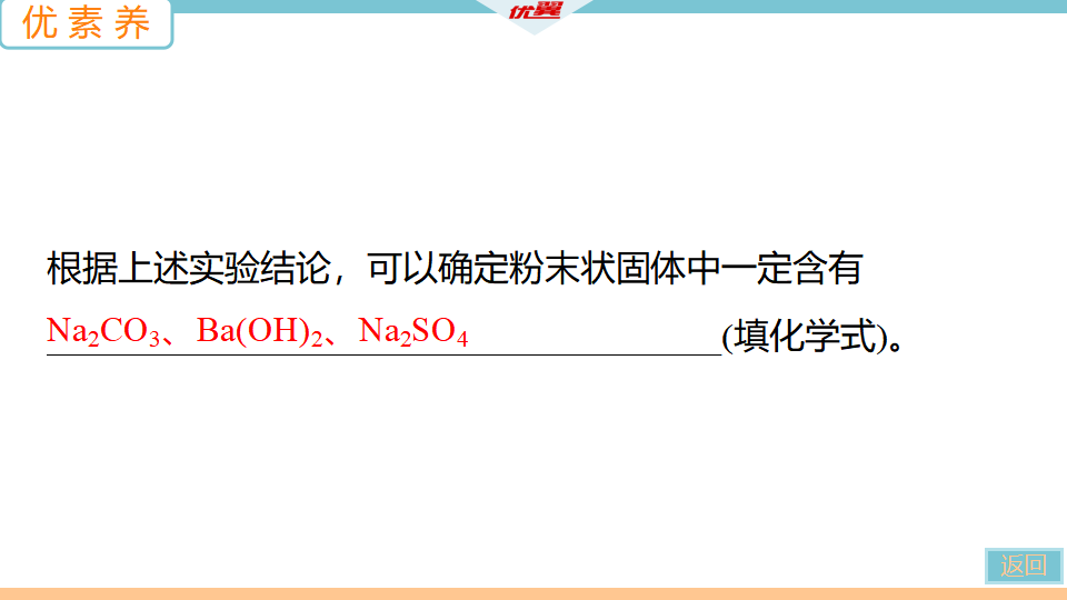 3.第3课时　盐的化学性质_32.png
