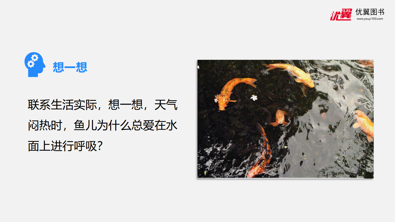 第2课时  溶解度_20.png