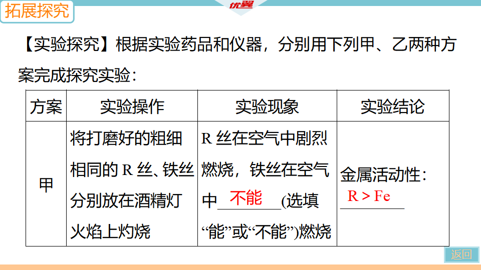3.实验突破一　金属活动性顺序的探究_21.png