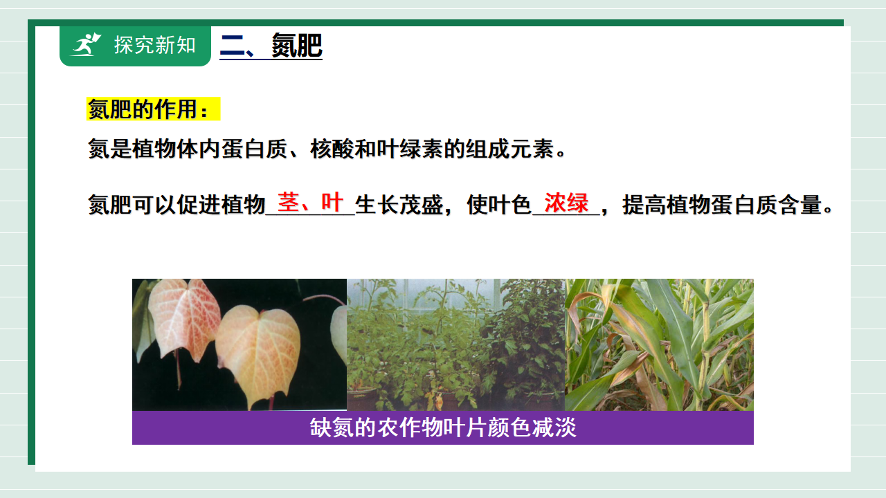 【核心素养】课题3第3课时《常见的盐》课件_07.png
