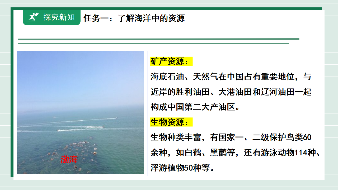 【核心素养】《跨学科实践活动8海洋资源的综合利用与制盐》课件_08.png