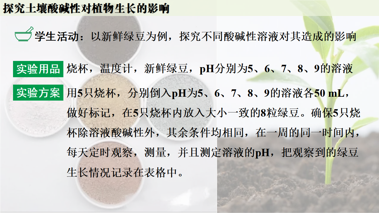 跨学科实践活动9  探究土壤酸碱性对植物生长的影响课件共33张PPT_16.png
