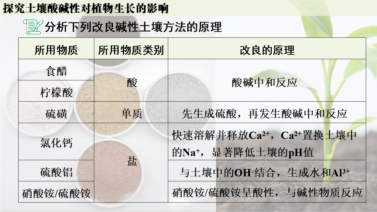 跨学科实践活动9  探究土壤酸碱性对植物生长的影响课件共33张PPT_32.png