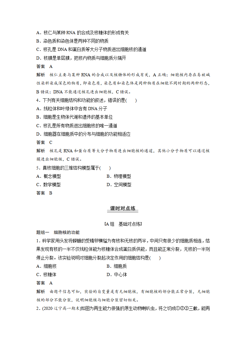第3章 第3节 细胞核的结构和功能_06.png