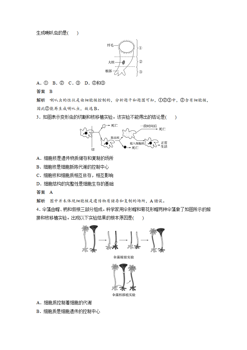 第3章 第3节 细胞核的结构和功能_07.png