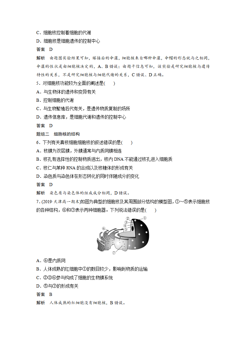 第3章 第3节 细胞核的结构和功能_08.png