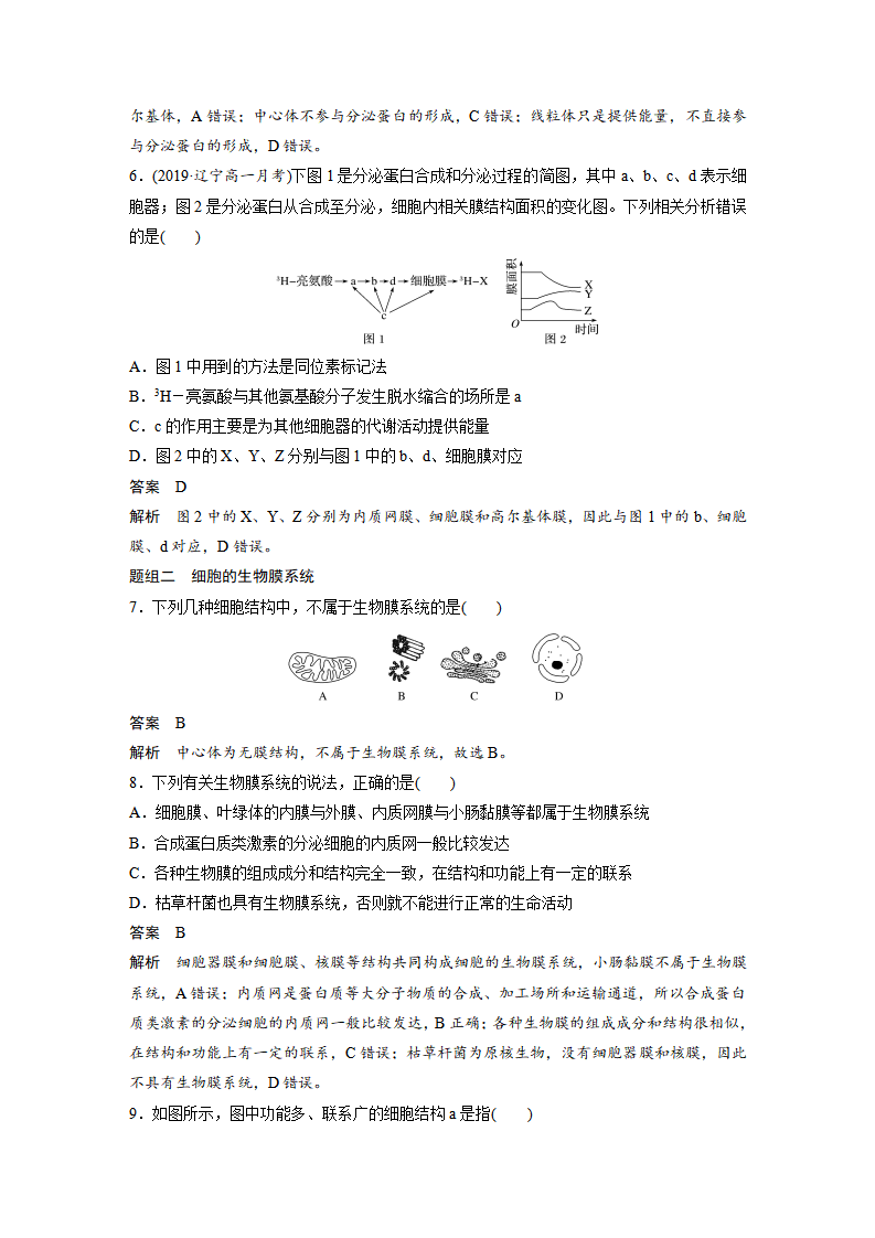 第3章 第2节 第2课时 细胞器之间的协调配合_08.png