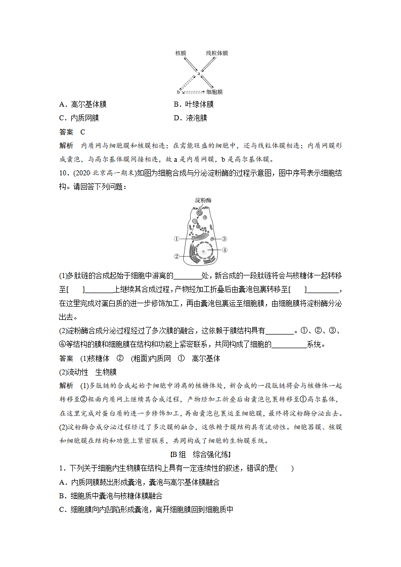 第3章 第2节 第2课时 细胞器之间的协调配合_09.png