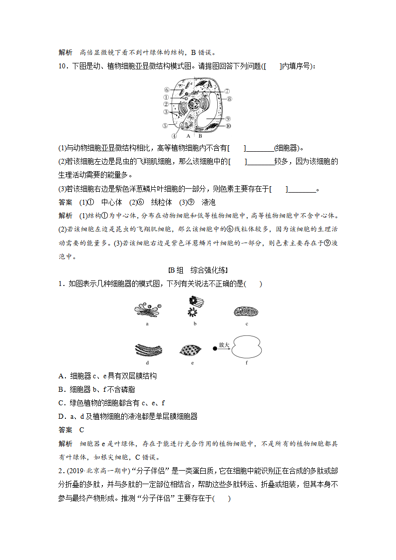 第3章 第2节 第1课时 细胞器之间的分工_10.png