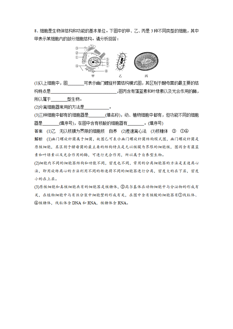 第3章 第2节 第1课时 细胞器之间的分工_13.png