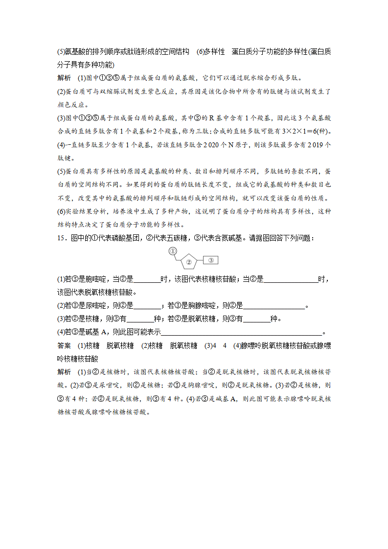 第2章 重点突破练一_06.png