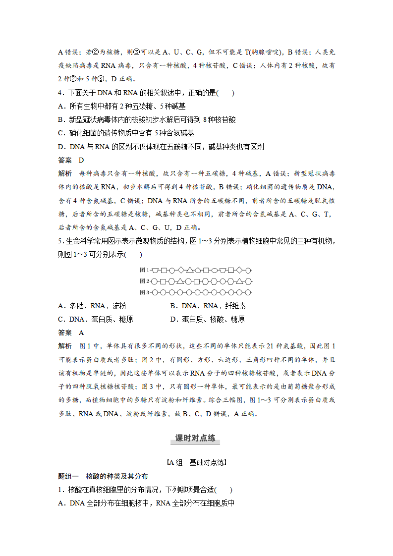 第2章 第5节 核酸是遗传信息的携带者_06.png